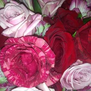 Meet your Posher, Alexa